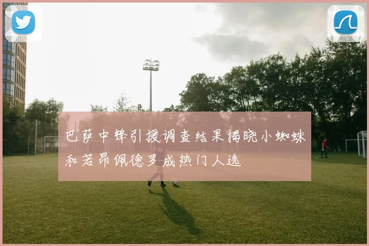 巴萨中锋引援调查结果揭晓小蜘蛛和若昂佩德罗成热门人选